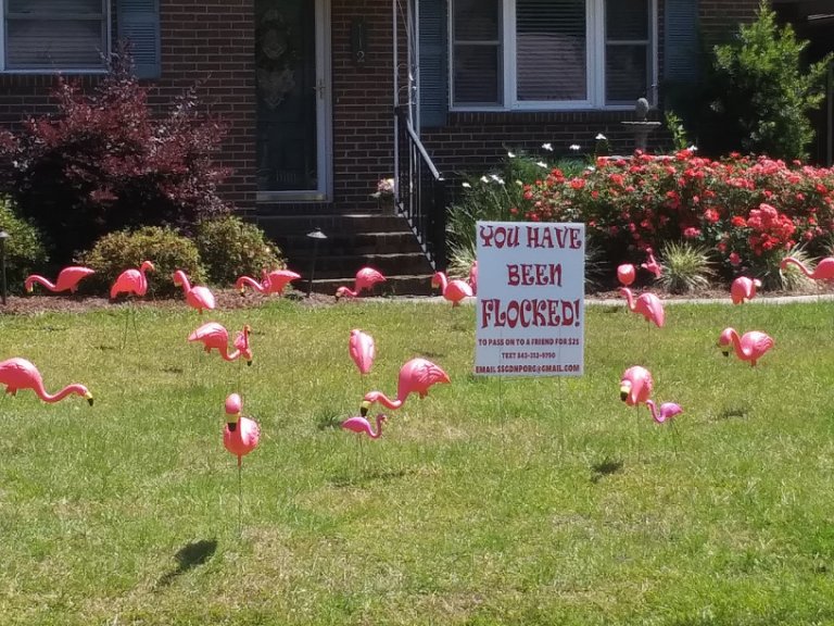 flocked1.jpg