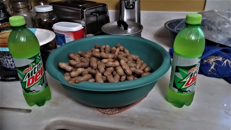 2021-DIET DEW AND PNUTS.jpg