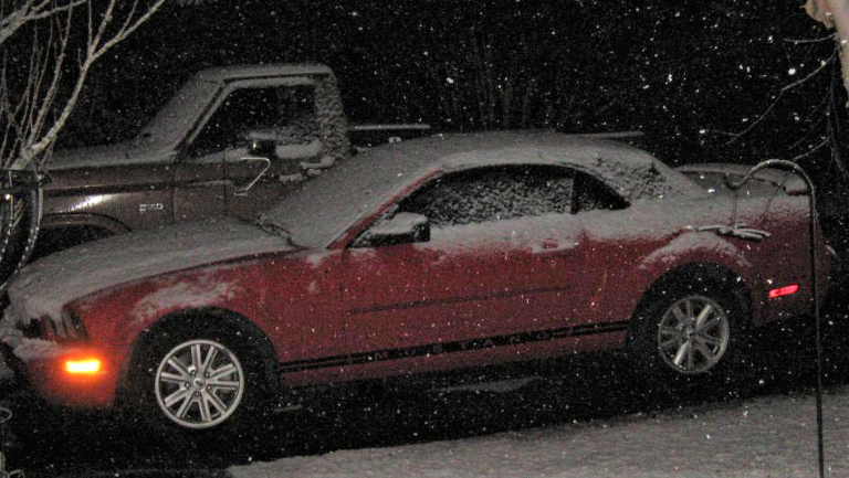 SNOW ON MUSTANG.png