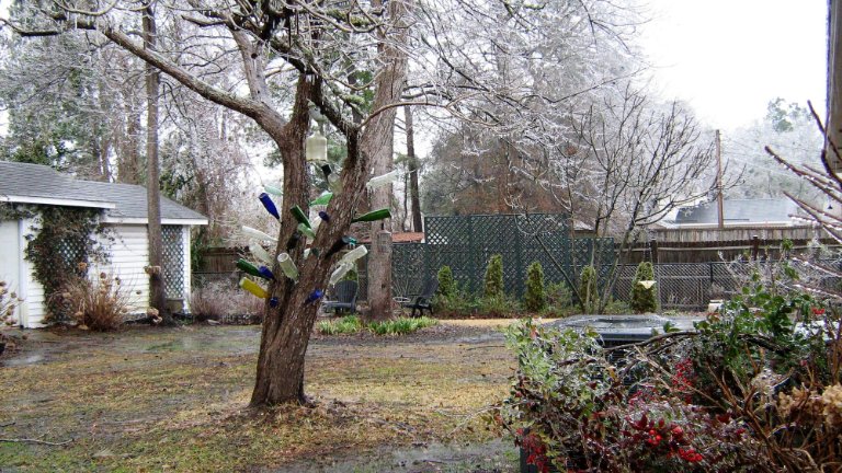 BOTTLE TREE WITH SLEET.jpg