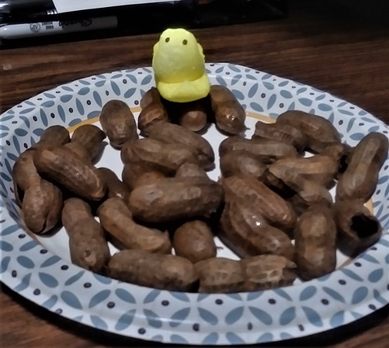 2022-pnuts and a peep.jpg