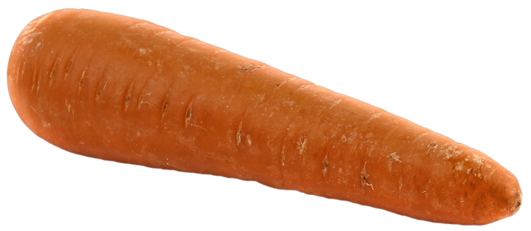 Big-Carrot-PNG-Image.png