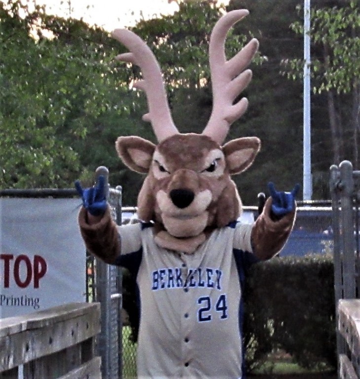 2022-BASEBALL DEER.JPG