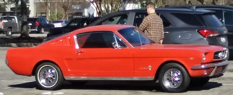 old mustang.jpg