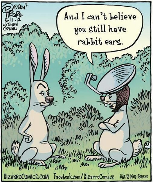 rabbitt ears.jpg