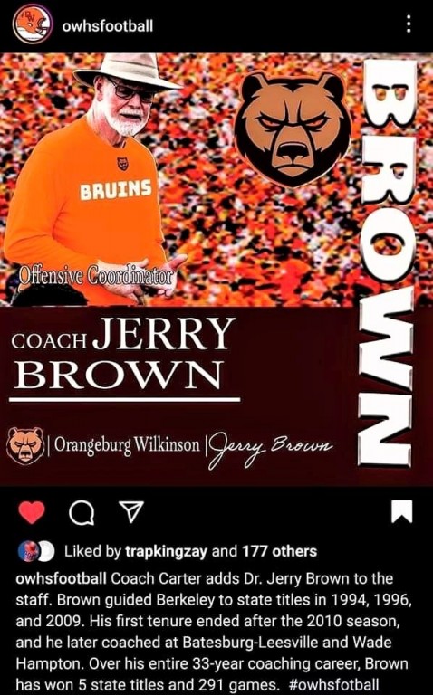 brown bruin .jpg