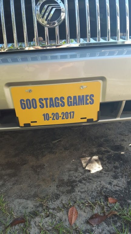 no.1 stags fan.jpg