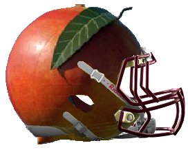 Gaffney helmet.png