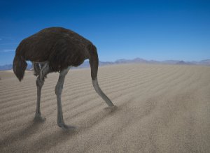 n-OSTRICH-HEAD-SAND-large300.jpg